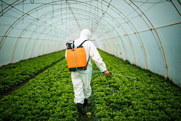 Best Pest Control for Restaurants  in Eufaula, AL