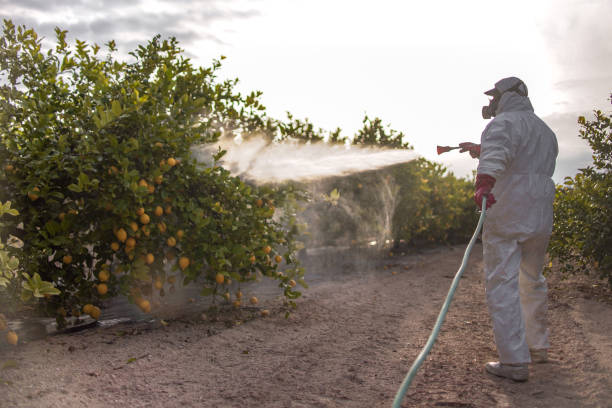  Eufaula, AL Pest Control Pros