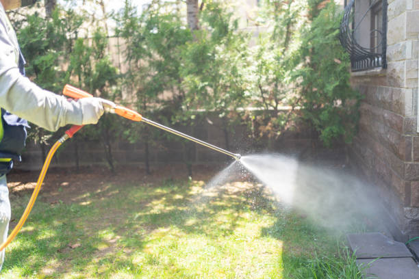 Best Spider Control Near Me  in Eufaula, AL