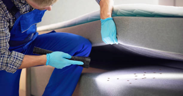 Best Bed Bug Extermination  in Eufaula, AL