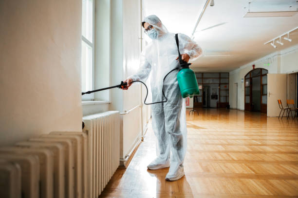 Best Wasp Removal Services  in Eufaula, AL