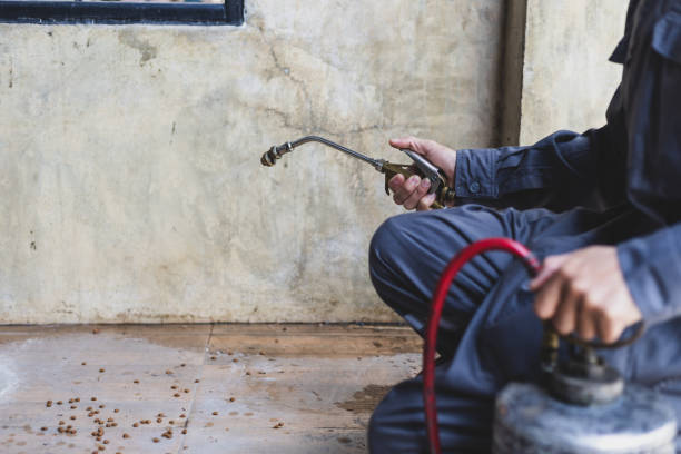Best Termite Control Services  in Eufaula, AL