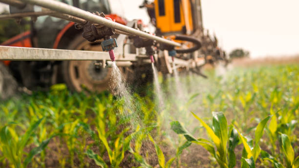 Best Pest Control for Businesses  in Eufaula, AL